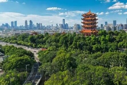 糖心vlog产精国品入口-糖心Vlog的国产品质新视角，解锁创意视频的精炼角落